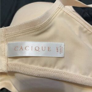 Cacique Cream and Tan T-Shirt Bras